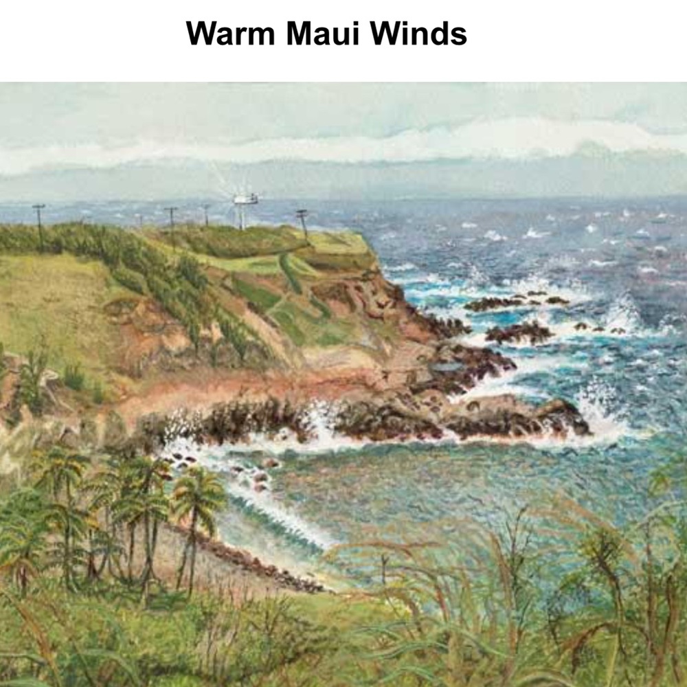Warm Maui Winds~10x14 inch Limited Edition Giclee from Barbara Steinberg~2005